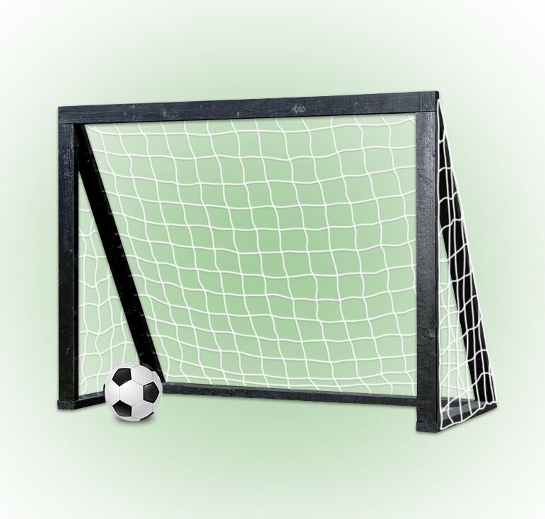 Homegoal Pro Mini Fotbalová branka 150 x 120 x 70 cm - černá My Hood 302121
