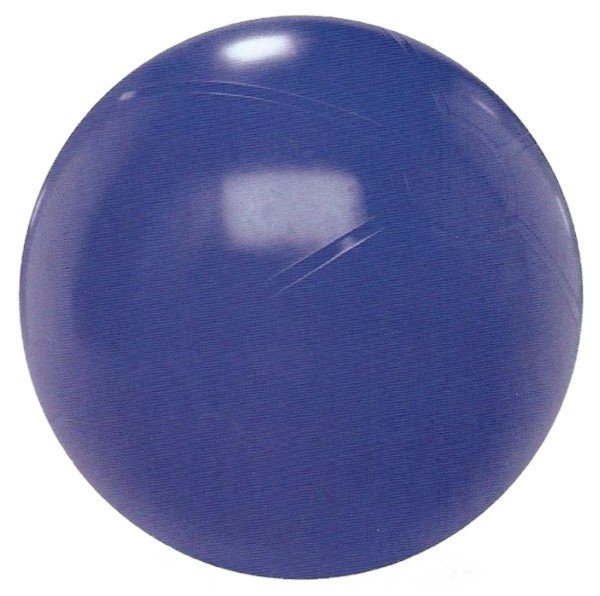 Gymnastický míč 75cm EXTRA FITBALL (Fialová)