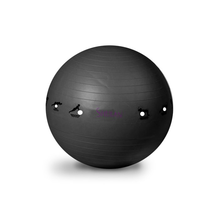 Gymnastický míč SHULAN YOGA BALL 65 cm (černá)