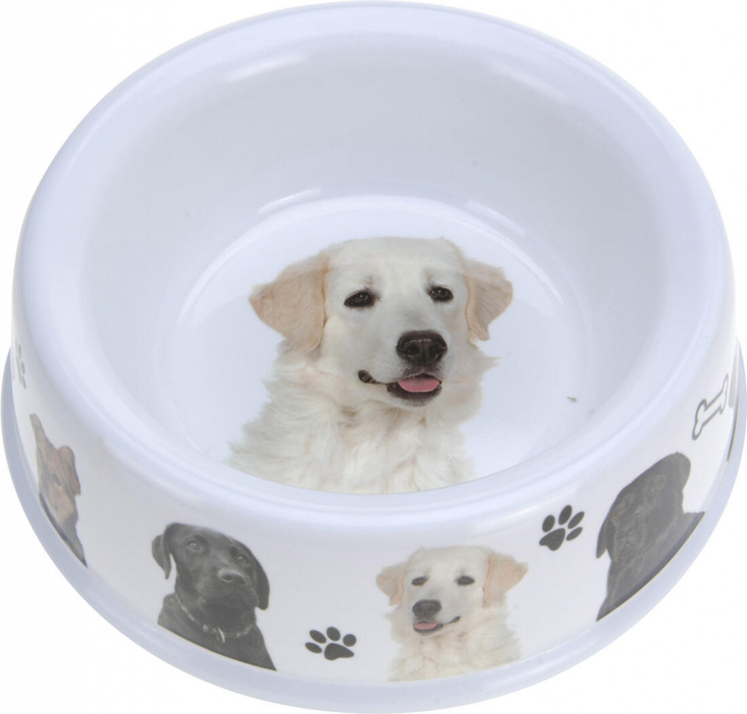 Miska pro zvířata 21/25cm KOČKA, PES melamin, mix dekorů